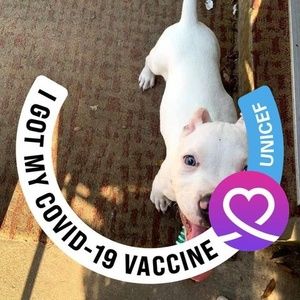 Meet your Posher, Delores